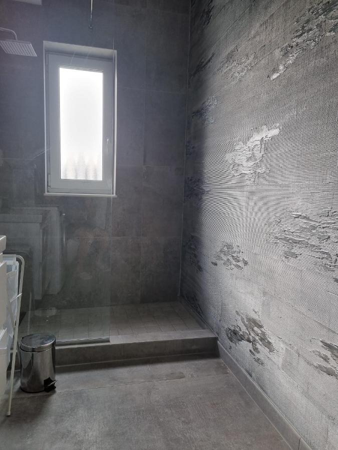 Gray Residence Şelimbăr エクステリア 写真