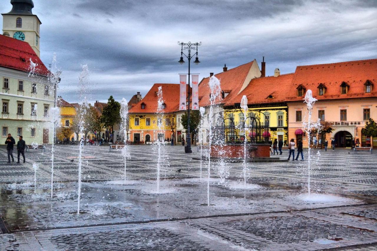 Gray Residence Şelimbăr エクステリア 写真