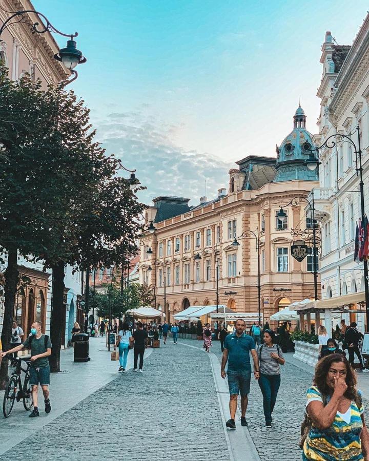 Gray Residence Şelimbăr エクステリア 写真