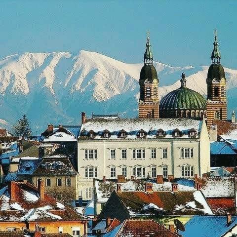 Gray Residence Şelimbăr エクステリア 写真